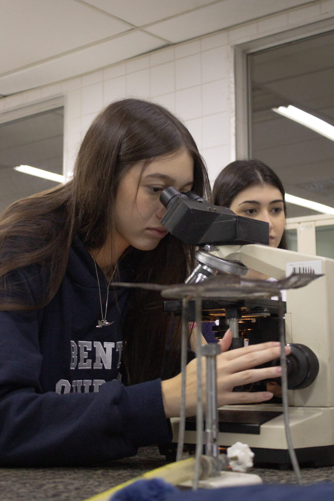 Alunas durante atividade de microscopia